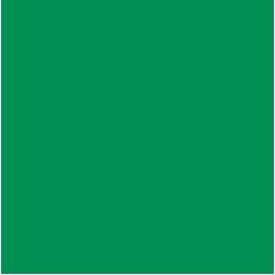 Fargefilter FOREST GREEN - B=1.22 x 7.62 meter (hel rull)
