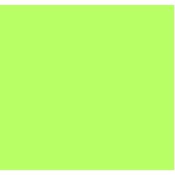Fargefilter LEE GREEN - B=1.22 x 7.62 meter (hel rull)