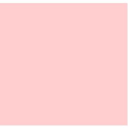 Fargefilter PALE SALMON - B=1.22 x 7.62 meter (hel rull)