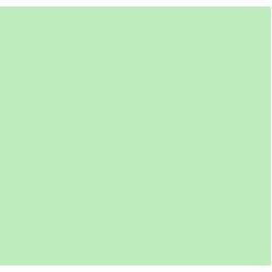 Fargefilter LEE FLUORESCENT 4300K - B=1.22 x 7.62 m (hel rull)