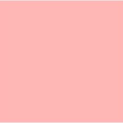 Fargefilter LIGHT SALMON - B=1.22 x 7.62 meter (hel rull)